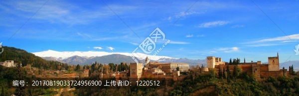 阿爾罕布拉全景。