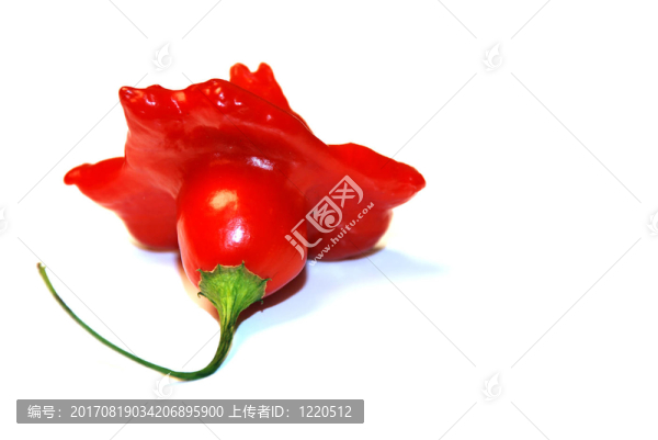 主教冠