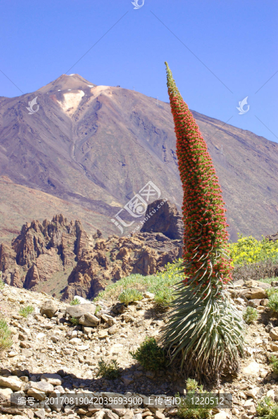 teide03
