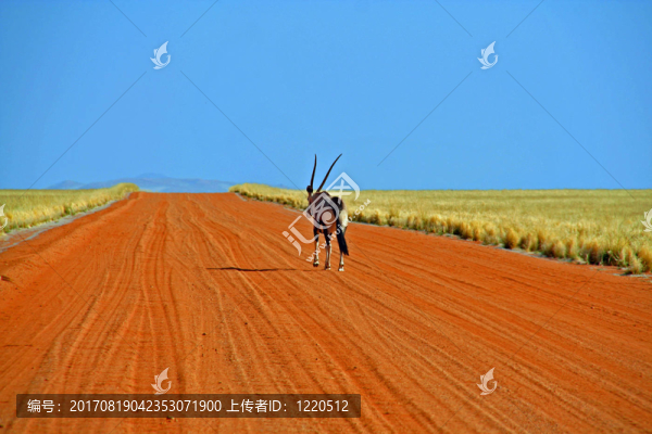 超車(chē)