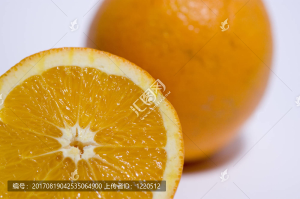 維塔mienen需要人類