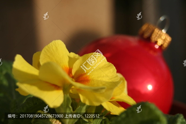 2006的問世