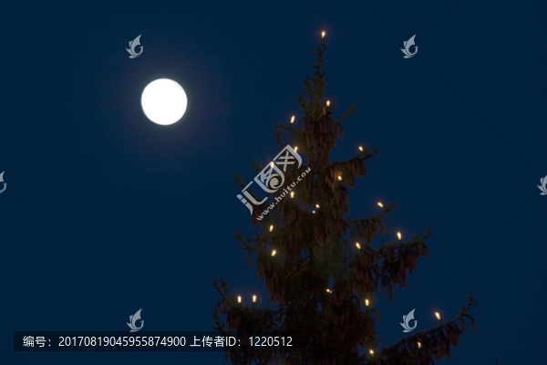 云上的圣誕樹