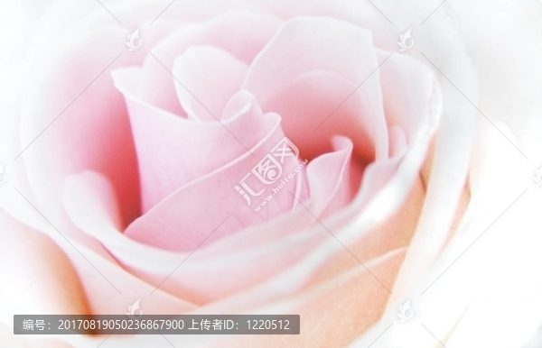 橙色
