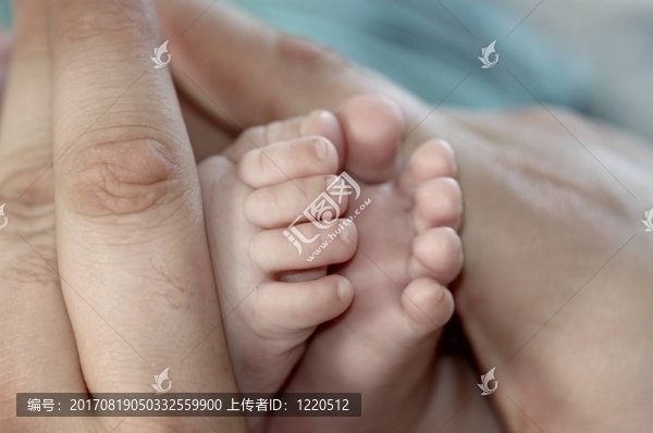 手和腳