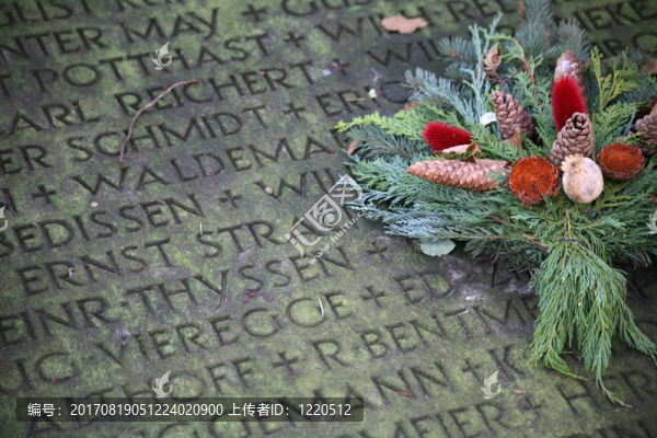陣亡將士紀(jì)念日