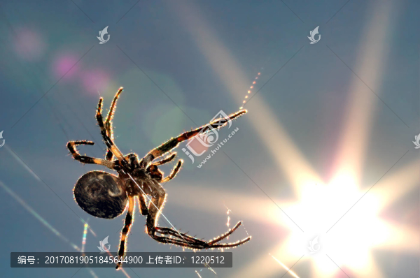 閃耀
