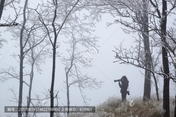 樹林霧景