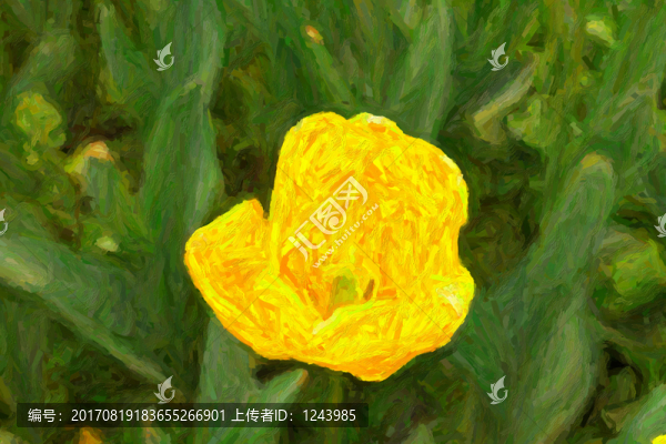 植物油畫