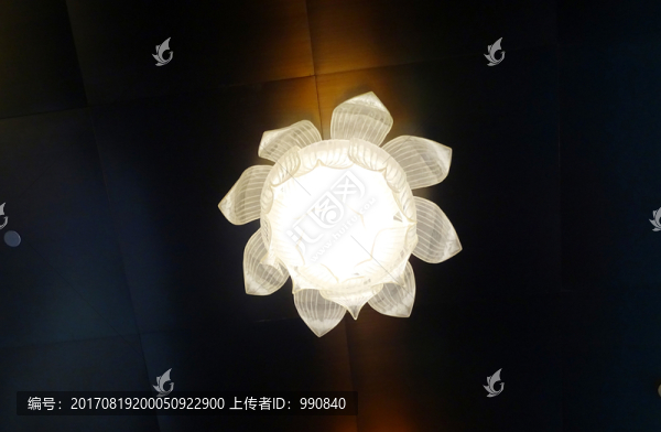 琉璃蓮