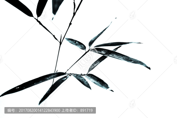 水墨竹,高清大圖