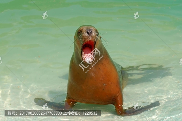 我的魚在哪里？