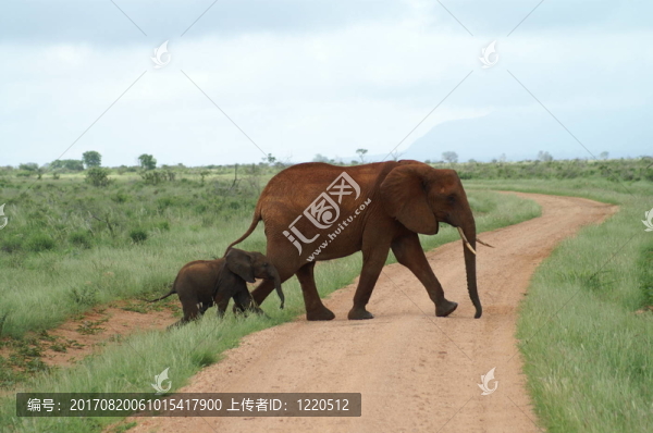 十字路口...