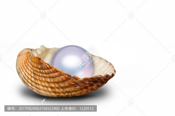 珍珠