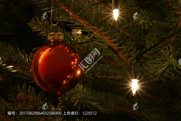 圣誕樹