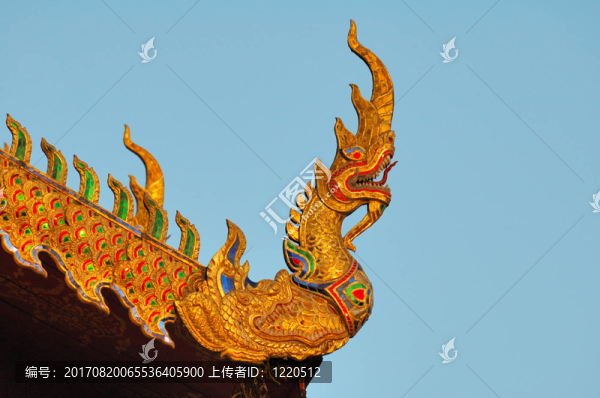 那蛇