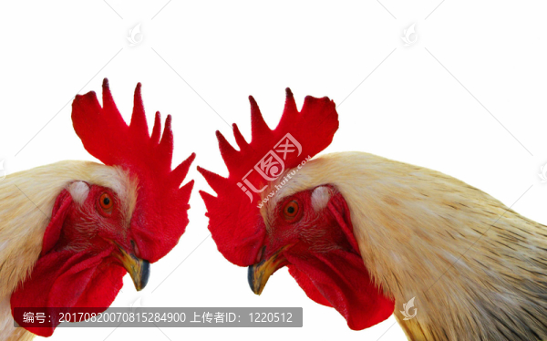 爭吵者