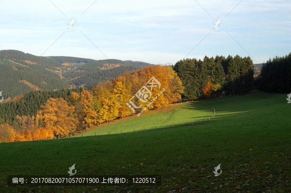 herbstlandschaft藻厄蘭