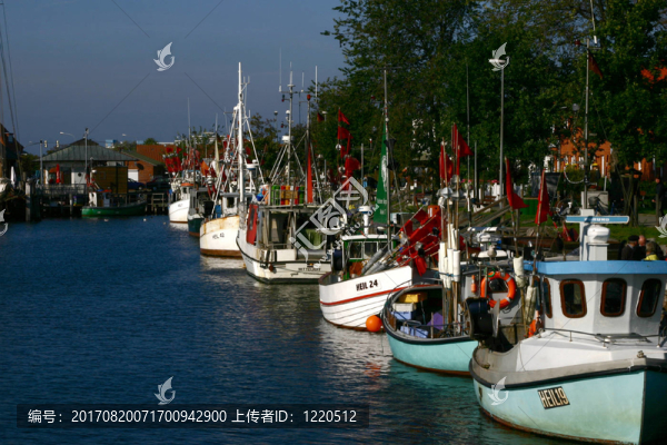 庫(kù)特游行