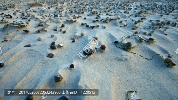 風(fēng)暴過后