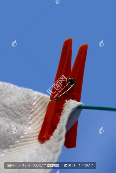 家庭
