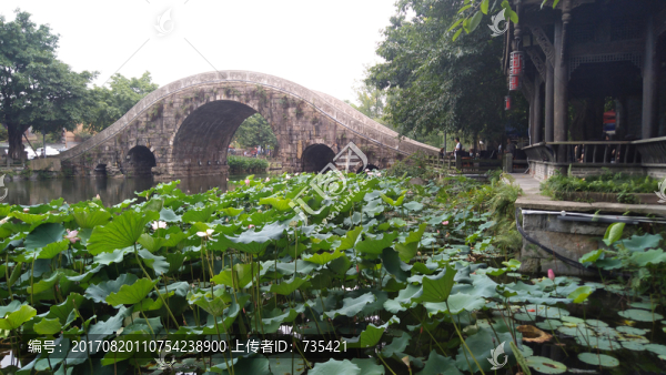 古橋