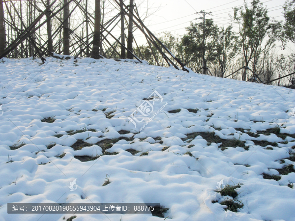 草地積雪風(fēng)景圖