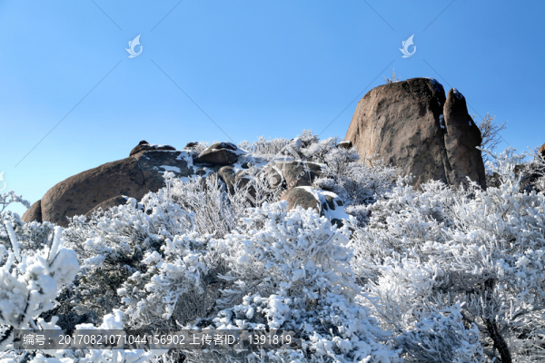 青島嶗山霧凇