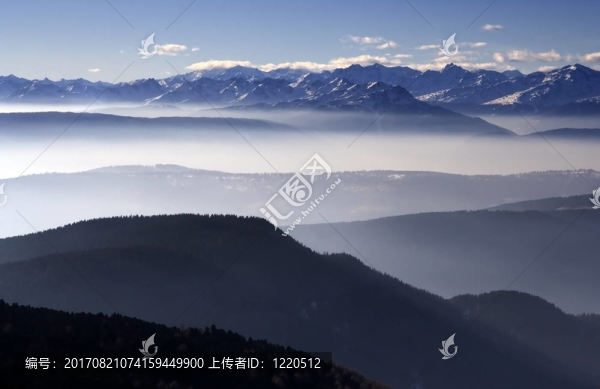 霧