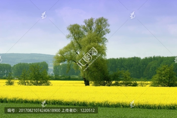 閃耀