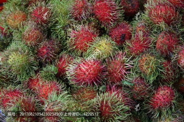 香料