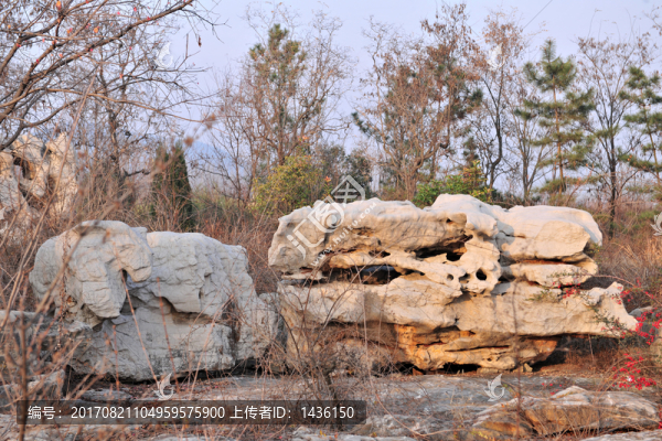 石頭造景,天然石頭