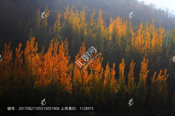 風景