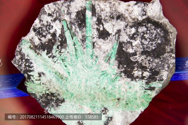 礦物標(biāo)本