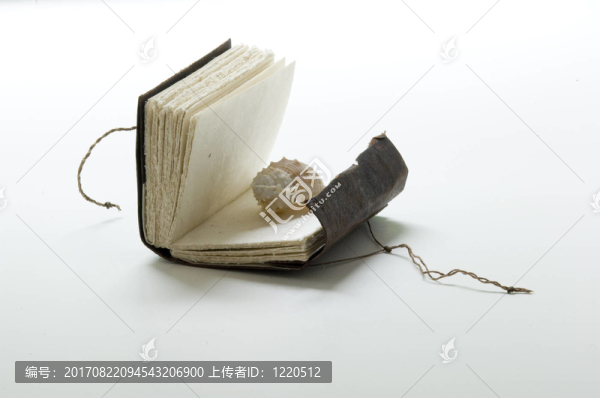 本書以殼