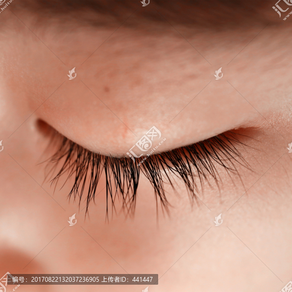 睫毛