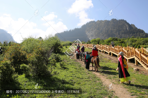 扎尕那