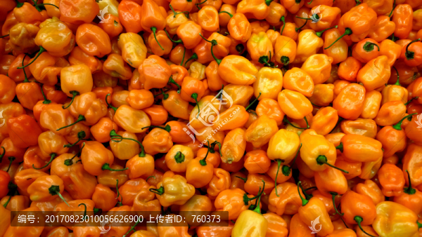 小紅椒