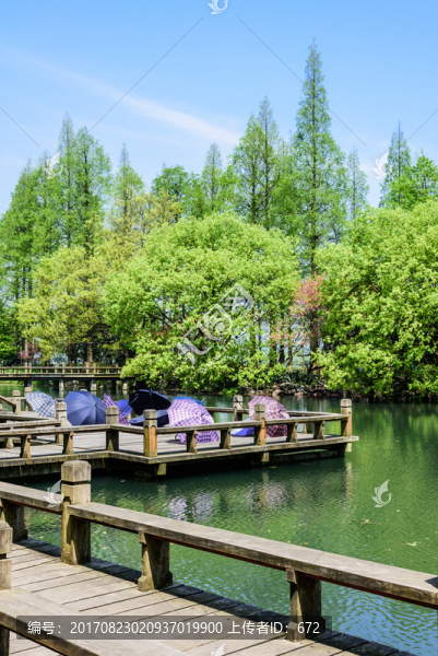 西湖周邊水景