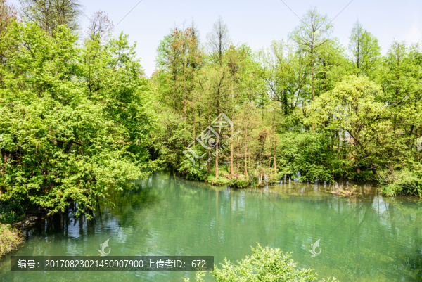 西湖周邊水景
