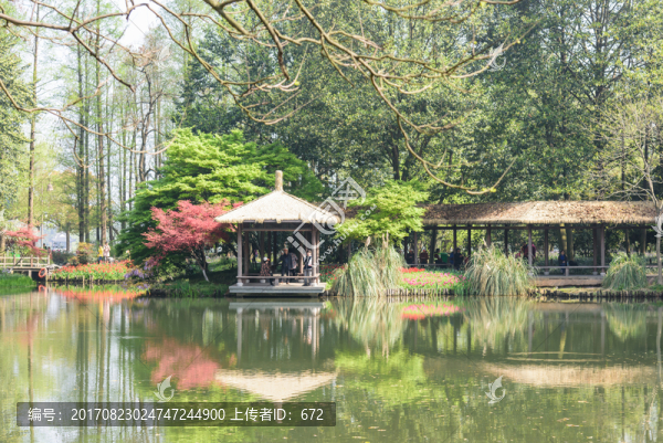 太子灣公園美景