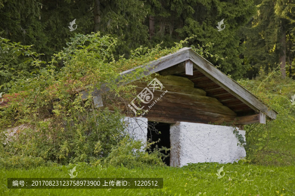 山