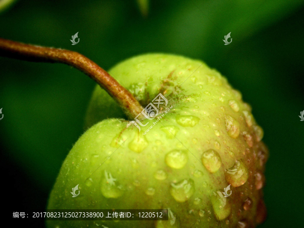 蘋果水滴