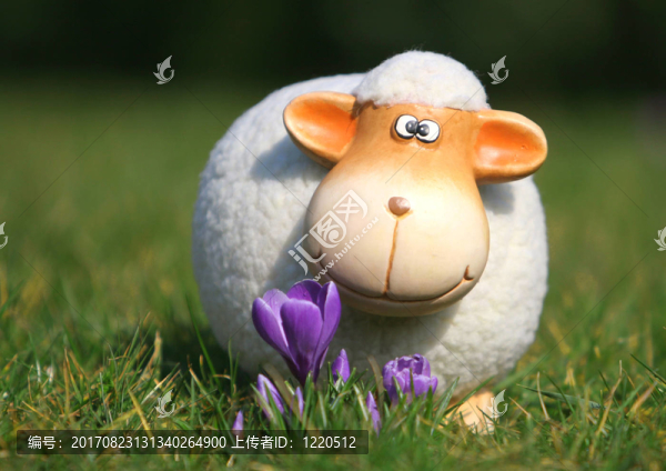動物