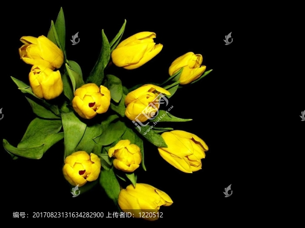 開花