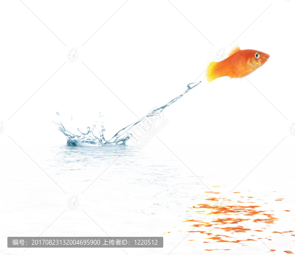 航班