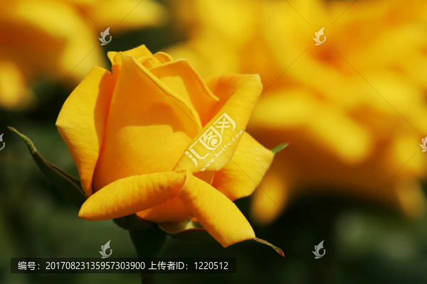 從郵局克里斯特爾