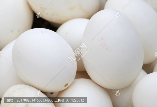 鵝蛋