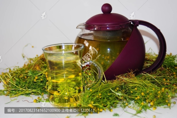 甘菊茶