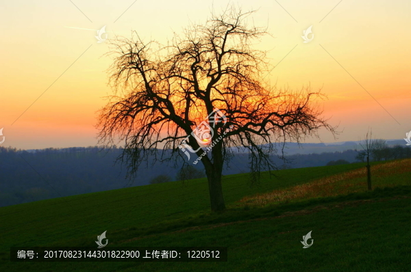 橙色